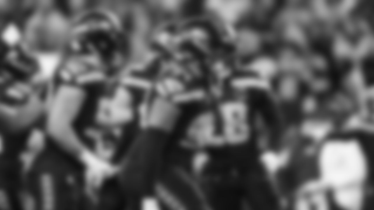 Seahawks in the Divisional Round on January 17, 2026.