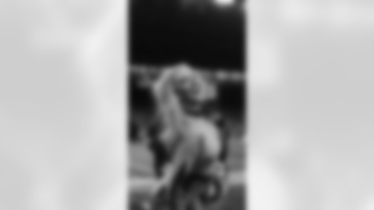 Seahawks Dancers During Week 16 Against the Rams on December 18th, 2025.