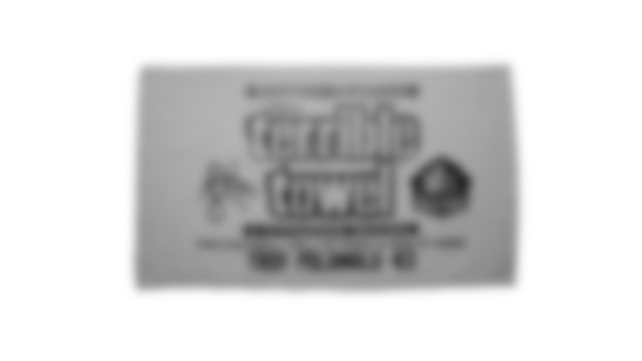 The Steelers are celebrating the 50th anniversary of the Terrible Towel