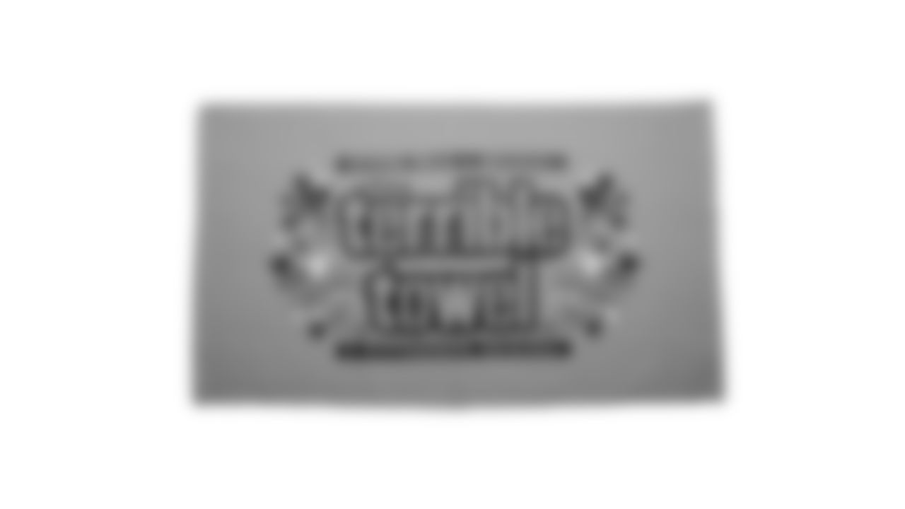 The Steelers are celebrating the 50th anniversary of the Terrible Towel