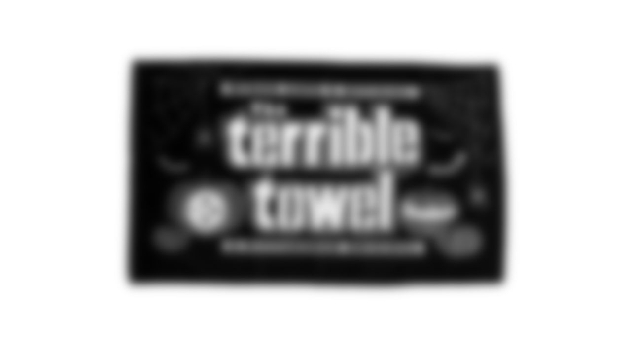 The Steelers are celebrating the 50th anniversary of the Terrible Towel