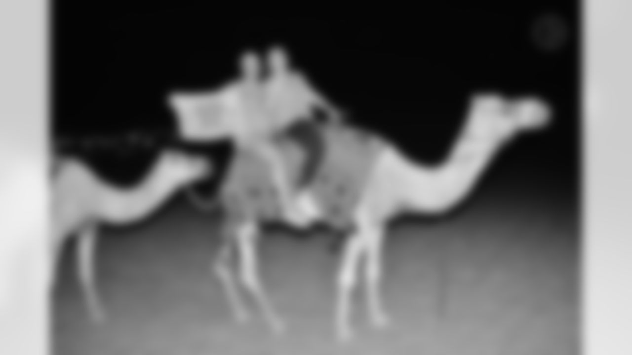 Steelers Nation submitted photos with their Terrible Towels around the world to celebrate the 50th anniversary