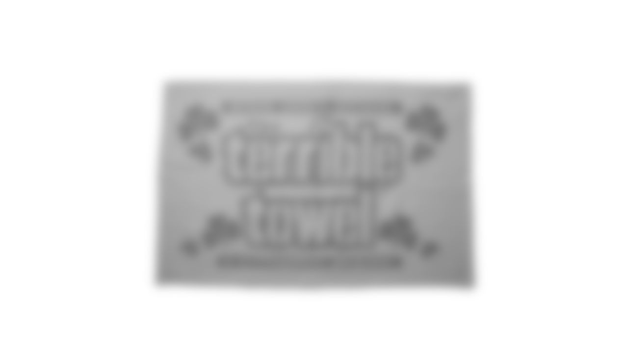 The Steelers are celebrating the 50th anniversary of the Terrible Towel