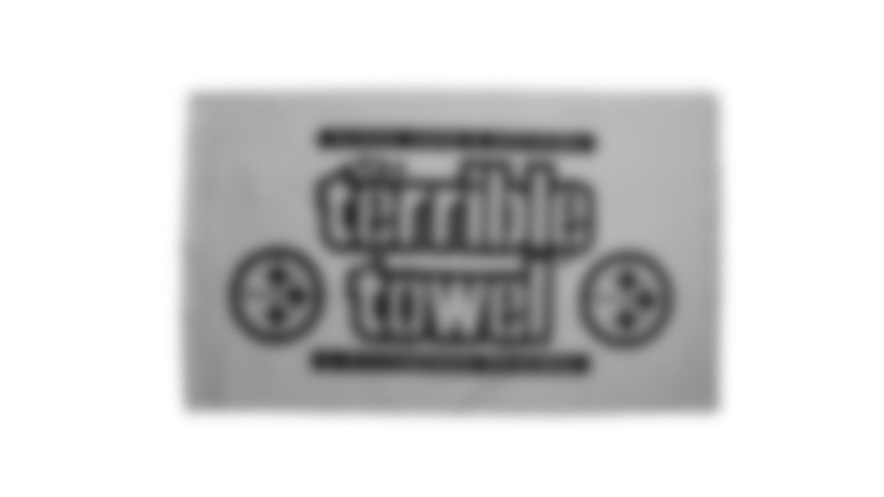 The Steelers are celebrating the 50th anniversary of the Terrible Towel