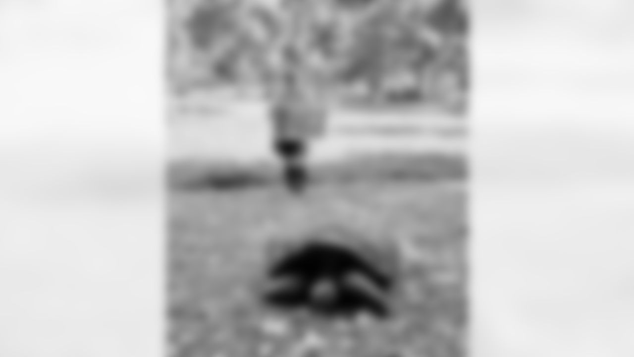 Steelers Nation submitted photos with their Terrible Towels around the world to celebrate the 50th anniversary