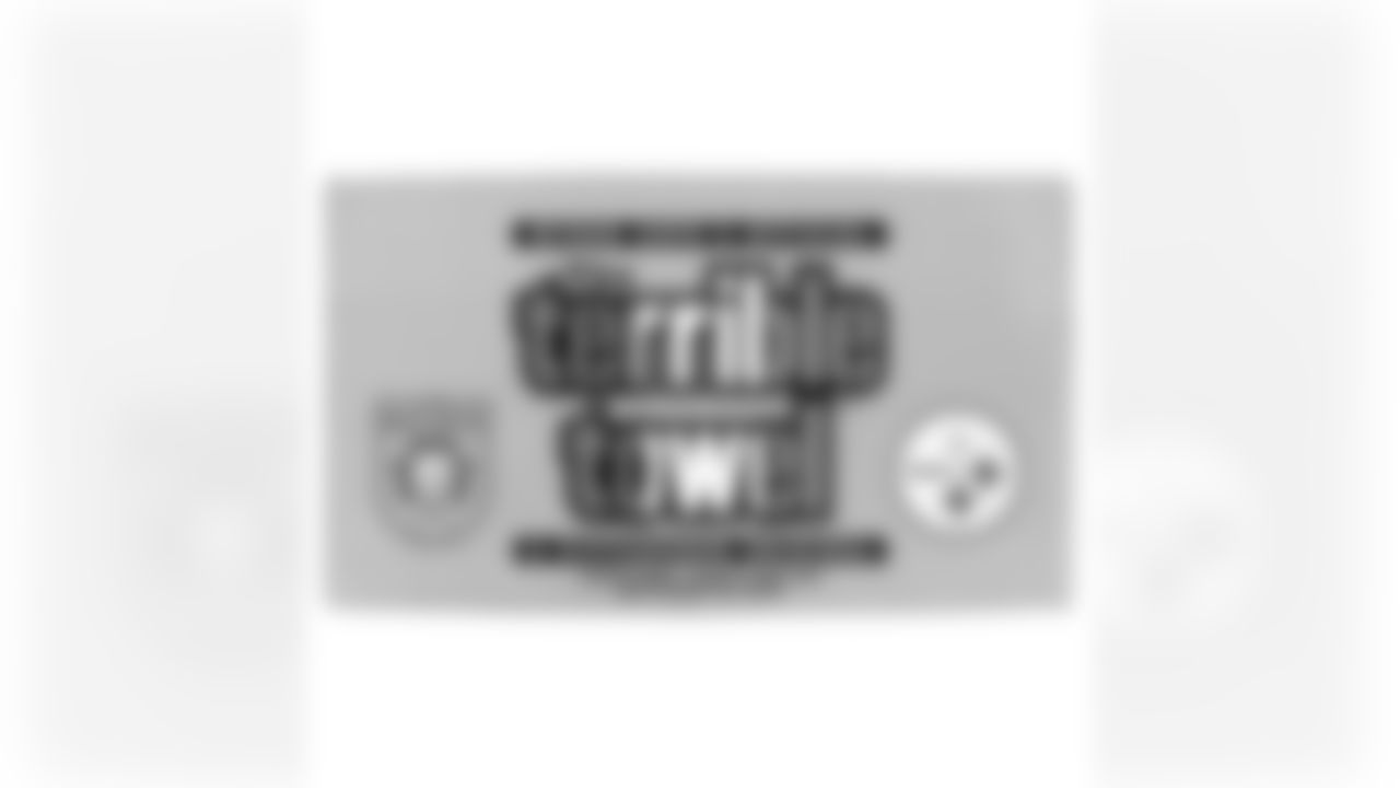 The Steelers are celebrating the 50th anniversary of the Terrible Towel