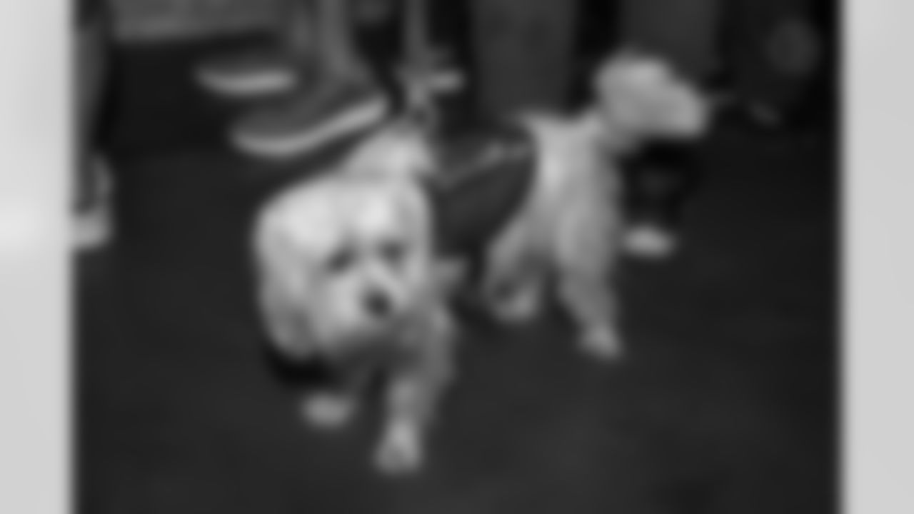 Steelers Nation Unite Road Warriors, Saturday, Nov. 8, 2025 in Huntington Beach, CA. (Alysa Rubin / Pittsburgh Steelers)