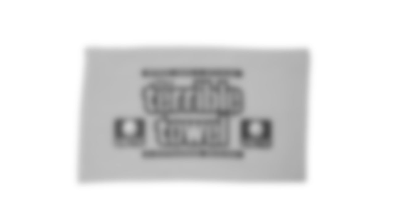 The Steelers are celebrating the 50th anniversary of the Terrible Towel