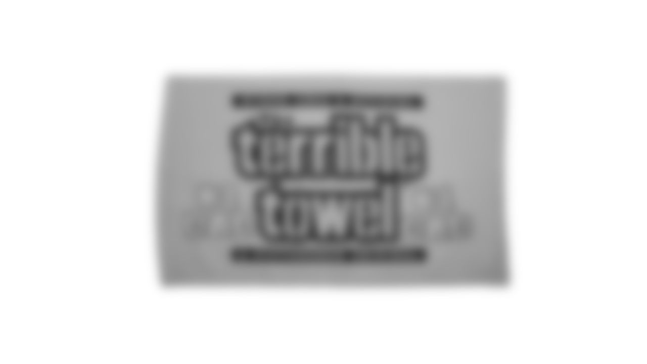 The Steelers are celebrating the 50th anniversary of the Terrible Towel