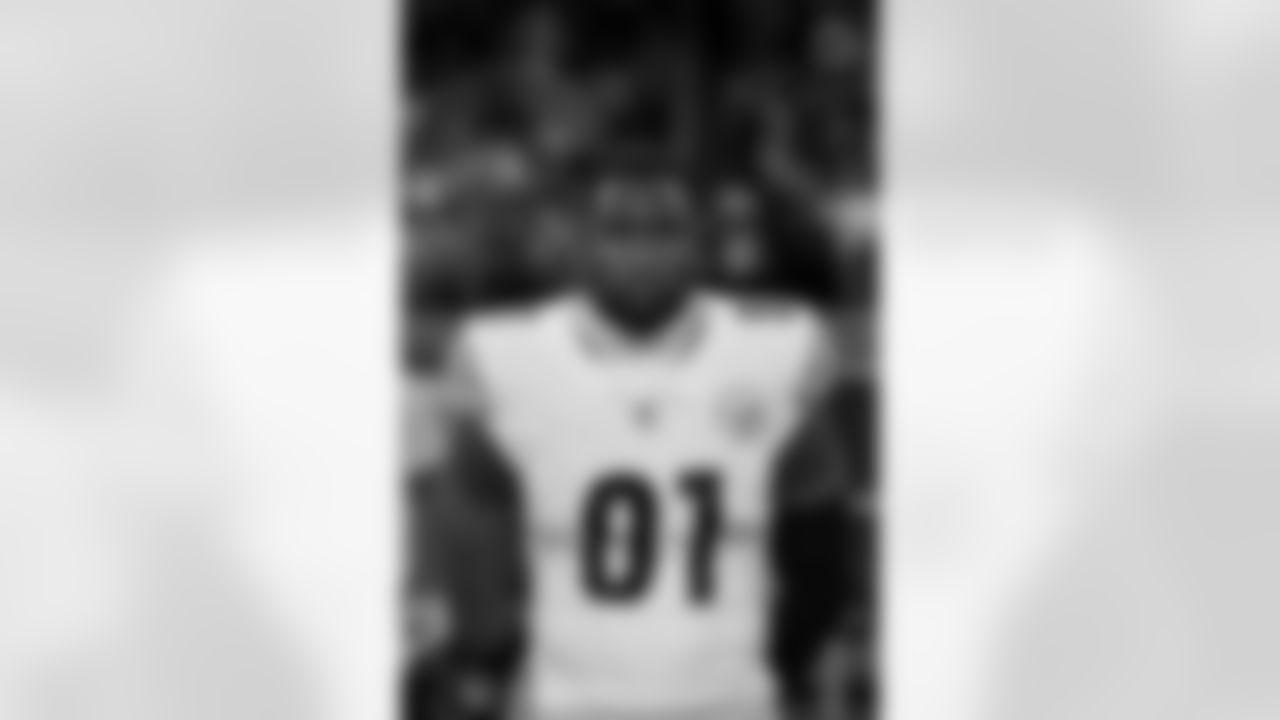 Pittsburgh Steelers tight end Jonnu Smith (81) during a regular season game between the Pittsburgh Steelers and the Detroit Lions, Sunday, Dec. 21, 2025 in Detroit, MI. (Alysa Rubin / Pittsburgh Steelers)