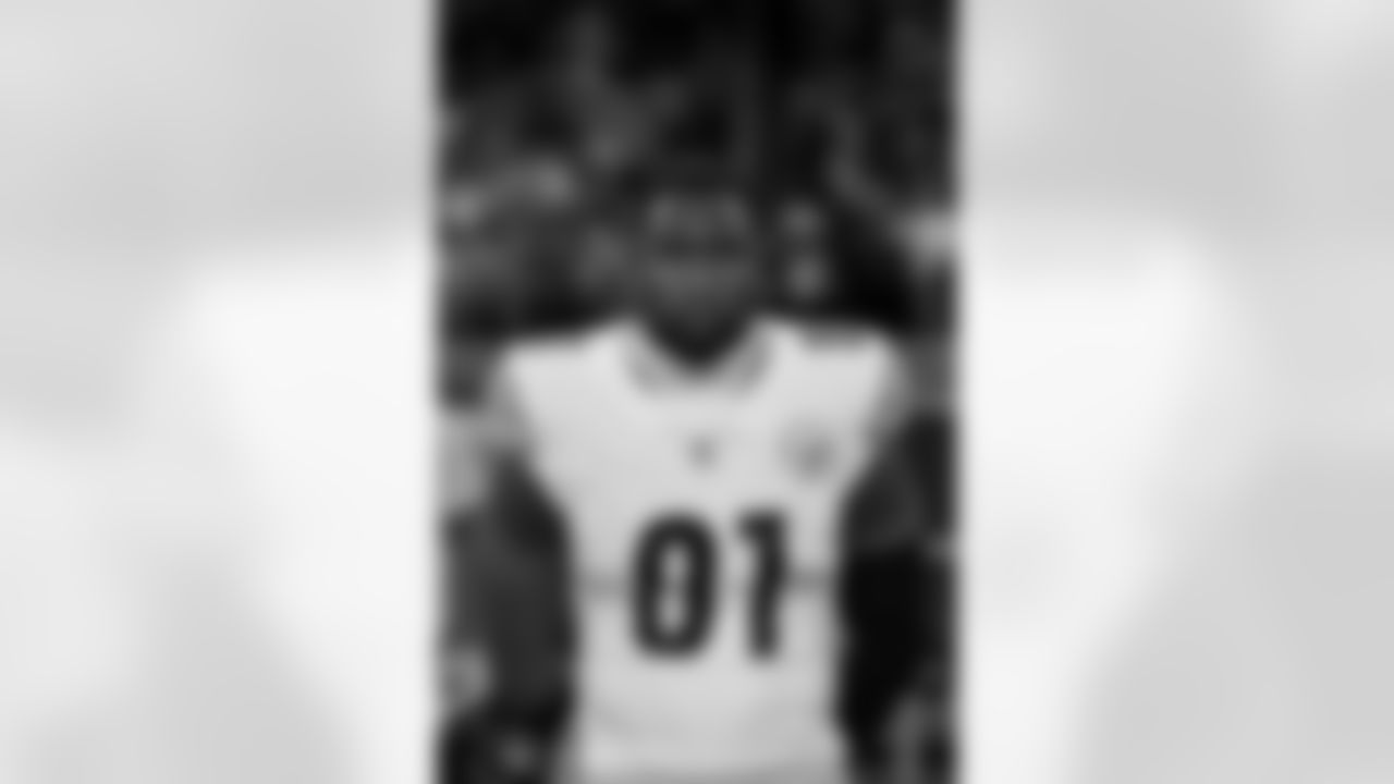 Pittsburgh Steelers tight end Jonnu Smith (81) during a regular season game between the Pittsburgh Steelers and the Detroit Lions, Sunday, Dec. 21, 2025 in Detroit, MI. (Alysa Rubin / Pittsburgh Steelers)