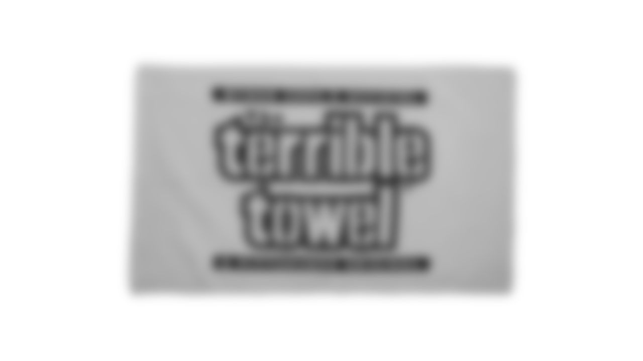 The Steelers are celebrating the 50th anniversary of the Terrible Towel