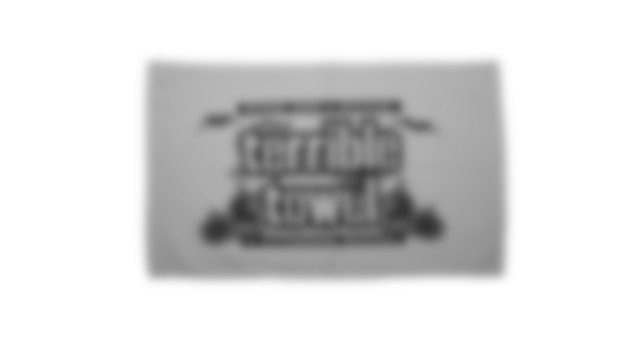 The Steelers are celebrating the 50th anniversary of the Terrible Towel