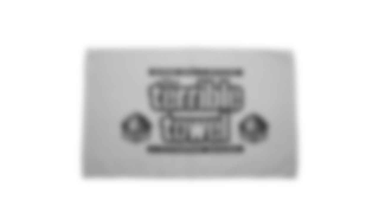 The Steelers are celebrating the 50th anniversary of the Terrible Towel