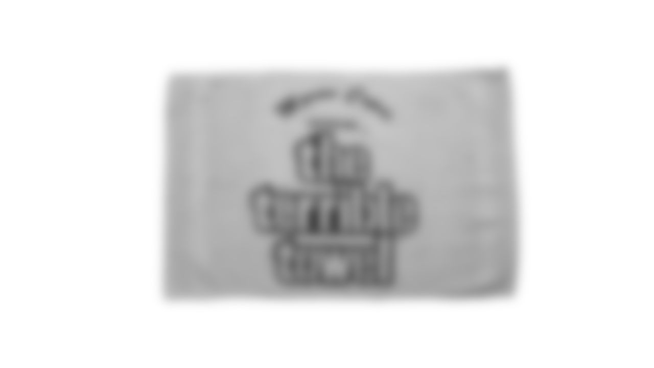 The Steelers are celebrating the 50th anniversary of the Terrible Towel