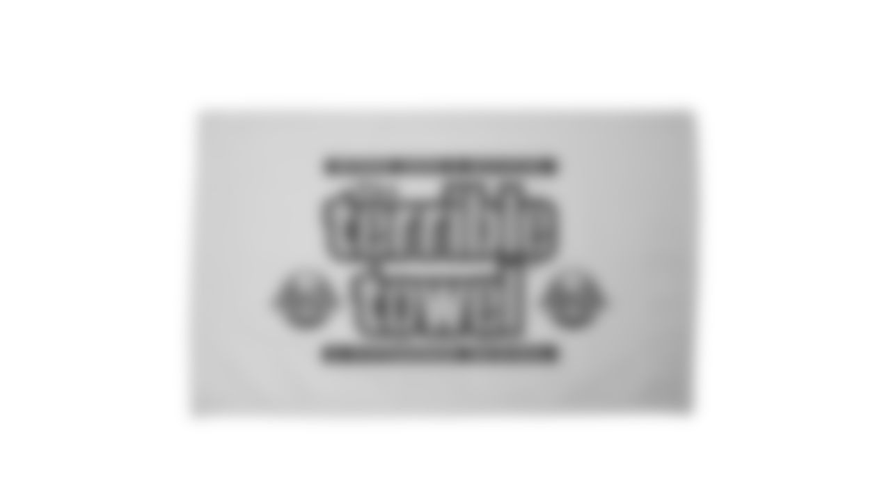 The Steelers are celebrating the 50th anniversary of the Terrible Towel