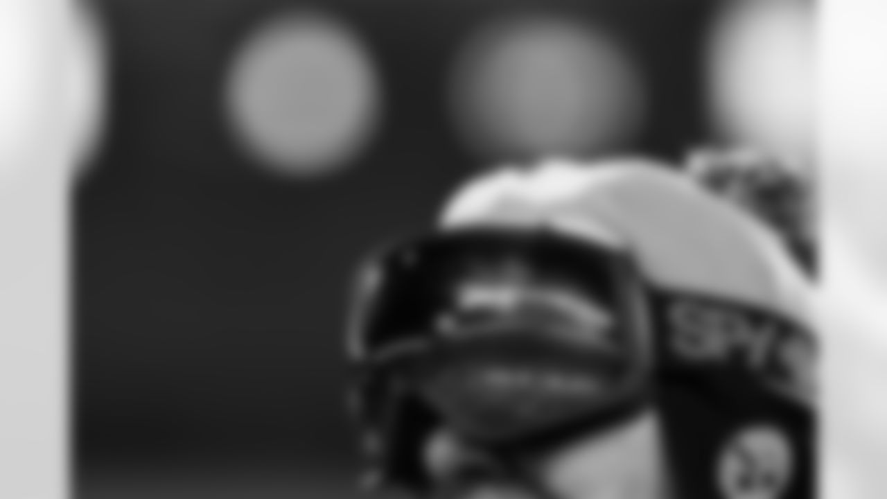 Pittsburgh Steelers fan during a regular season game between the Pittsburgh Steelers and the Baltimore Ravens, Sunday, Jan. 4, 2026 in Pittsburgh, PA.  (Alysa Rubin / Pittsburgh Steelers)