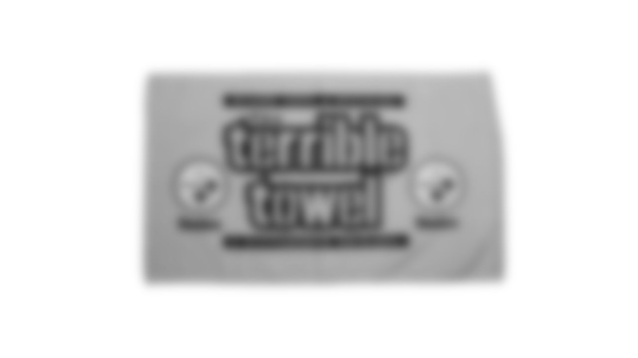 The Steelers are celebrating the 50th anniversary of the Terrible Towel