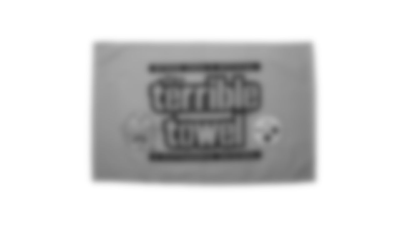 The Steelers are celebrating the 50th anniversary of the Terrible Towel
