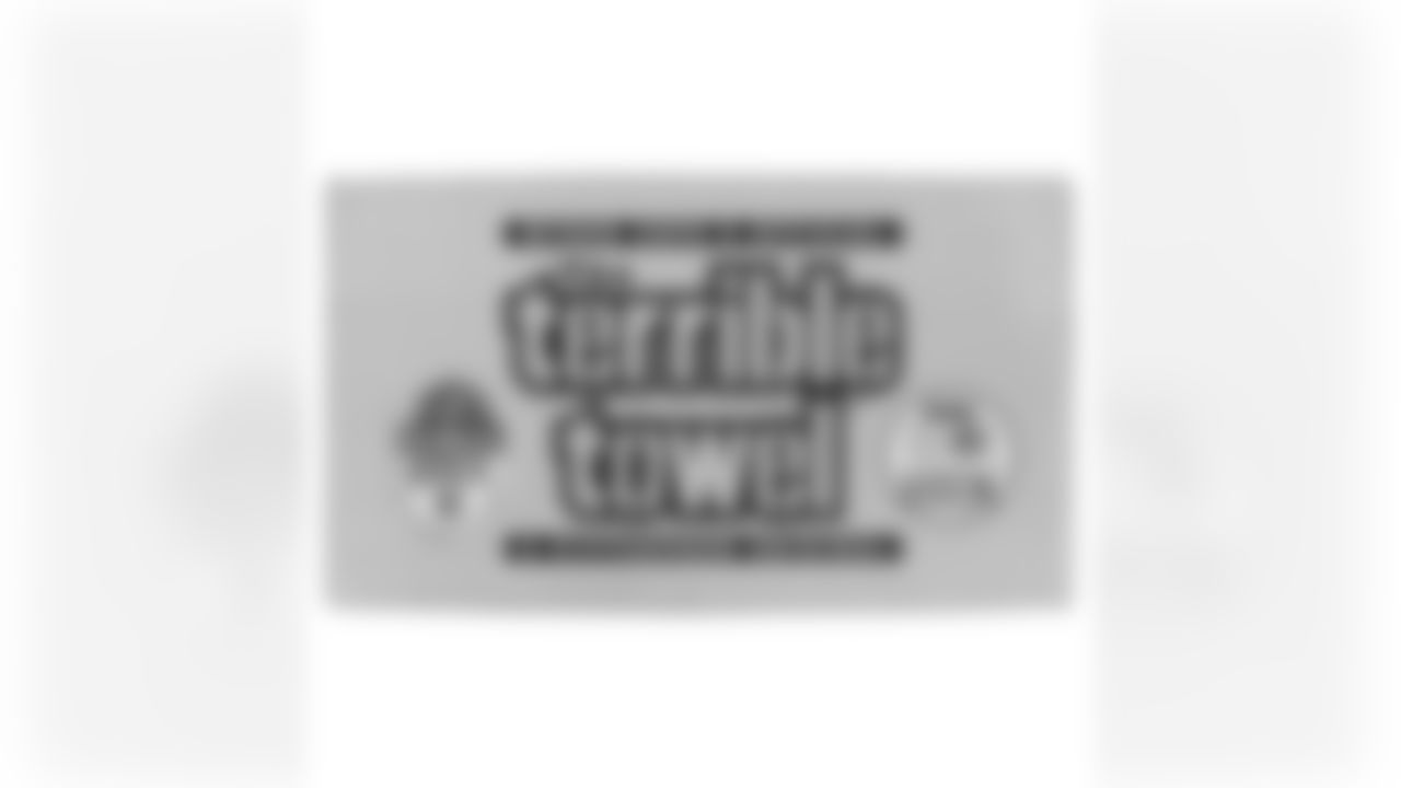 The Steelers are celebrating the 50th anniversary of the Terrible Towel