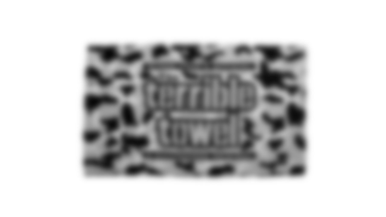 The Steelers are celebrating the 50th anniversary of the Terrible Towel