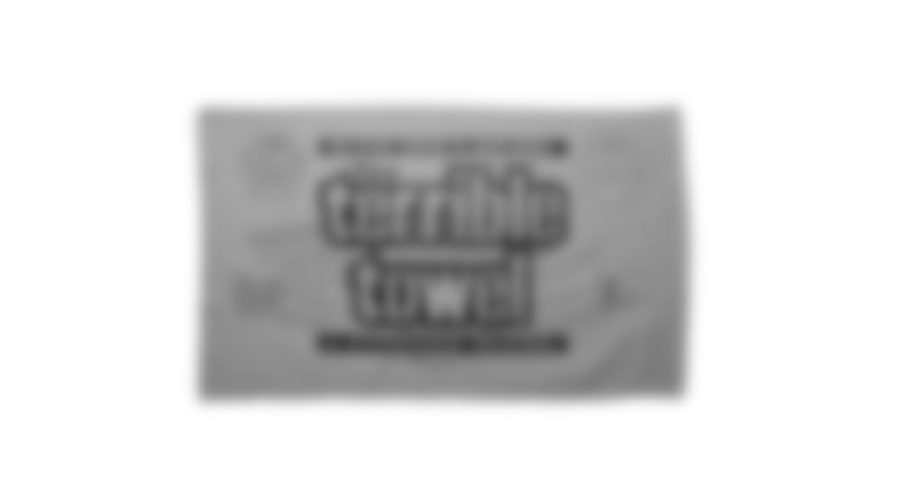 The Steelers are celebrating the 50th anniversary of the Terrible Towel