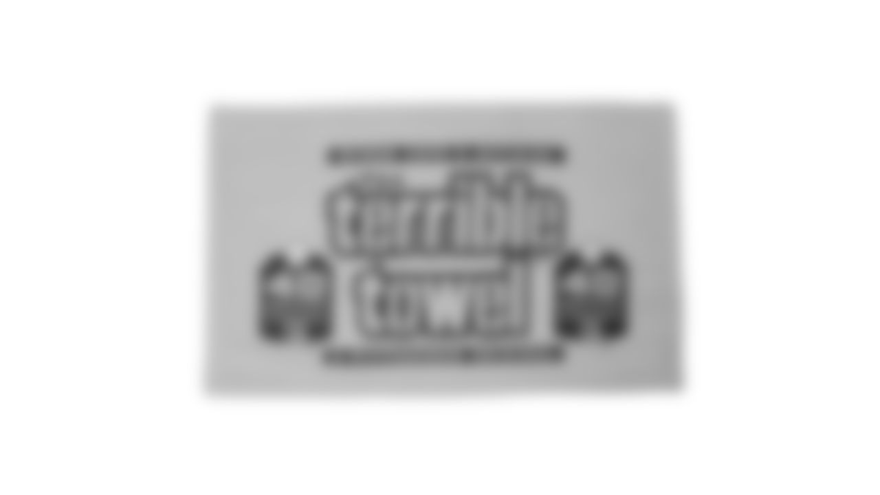 The Steelers are celebrating the 50th anniversary of the Terrible Towel