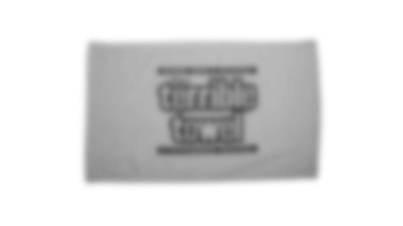 The Steelers are celebrating the 50th anniversary of the Terrible Towel