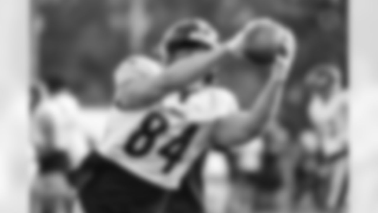 Pittsburgh Steelers tight end Kevin Foelsch (84) trains at Latrobe Memorial Stadium during the 2025 Steelers Training Camp on Friday August 1, 2025 in Latrobe, PA. (Taylor Ollason / Pittsburgh Steelers)