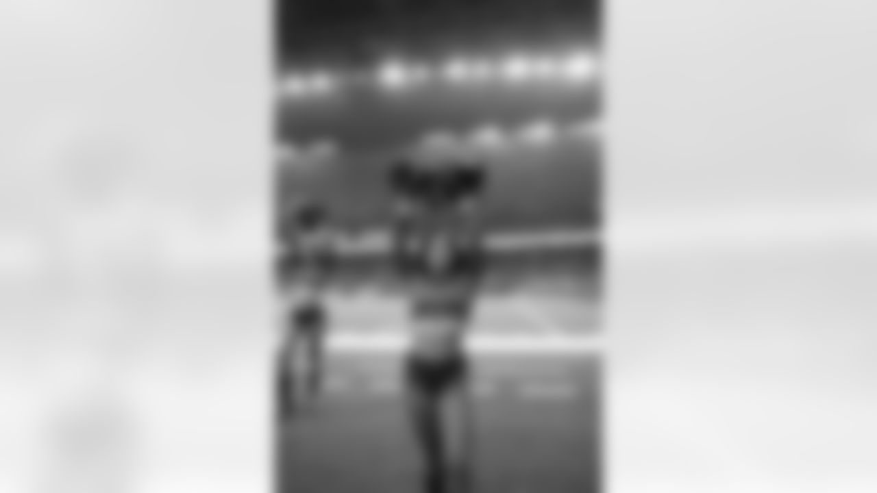 An image from the November 20th, 2025 regular season week 12 home game against the Buffalo Bills at NRG Stadium in Houston, TX. The Texans won 23-19.