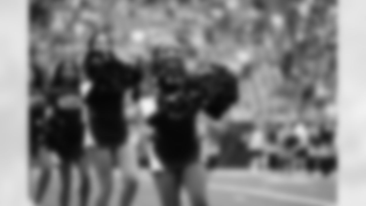 An image from the November 2nd, 2025 regular season week 9 home game against the Denver Broncos at NRG Stadium in Houston, TX. The Texans lost 15-18.