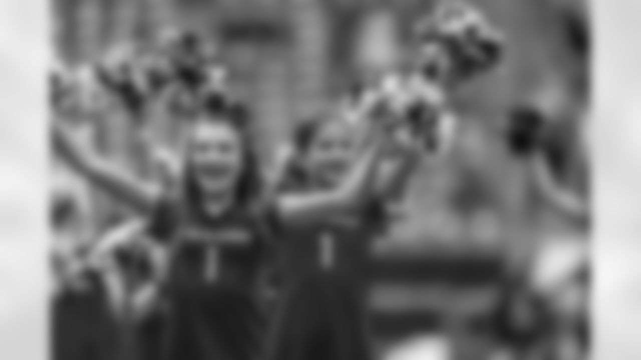 An image from the December 14th, 2025 regular season week 15 home game against the Arizona Cardinals at NRG Stadium in Houston, TX. The Texans won 40-20.