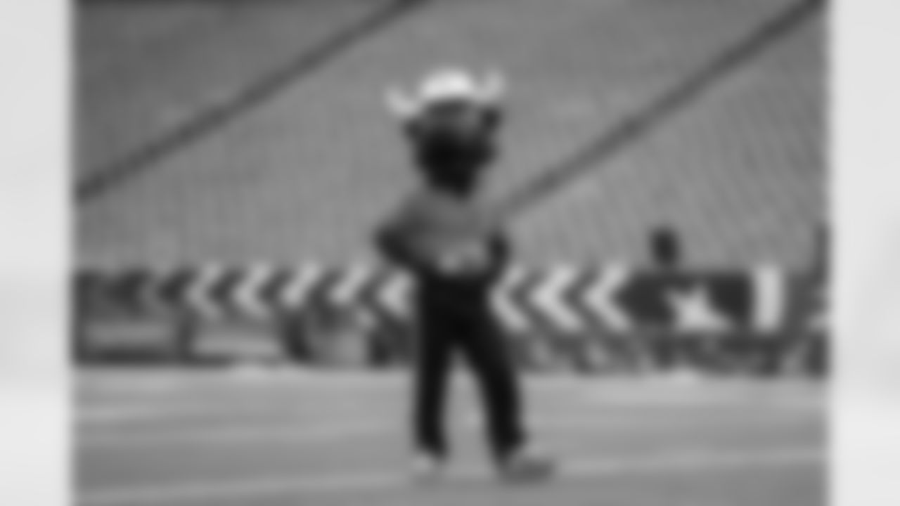 An image from the November 4th, 2025 Salute to Service Flag Showdown at NRG Stadium in Houston, TX.