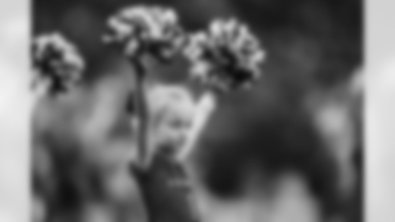 An image from the December 14th, 2025 regular season week 15 home game against the Arizona Cardinals at NRG Stadium in Houston, TX. The Texans won 40-20.