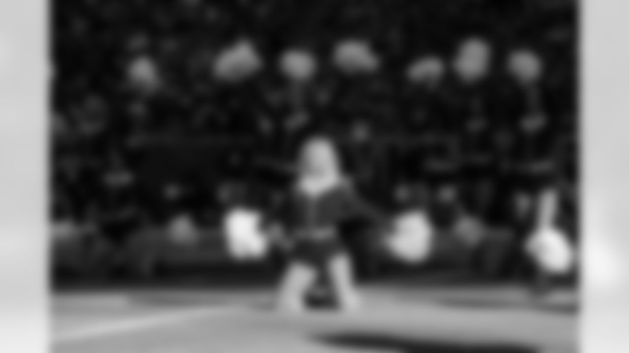 An image from the December 21st, 2025 regular season week 16 home game against the Las Vegas Raiders at NRG Stadium in Houston, TX. The Texans won 23-21.