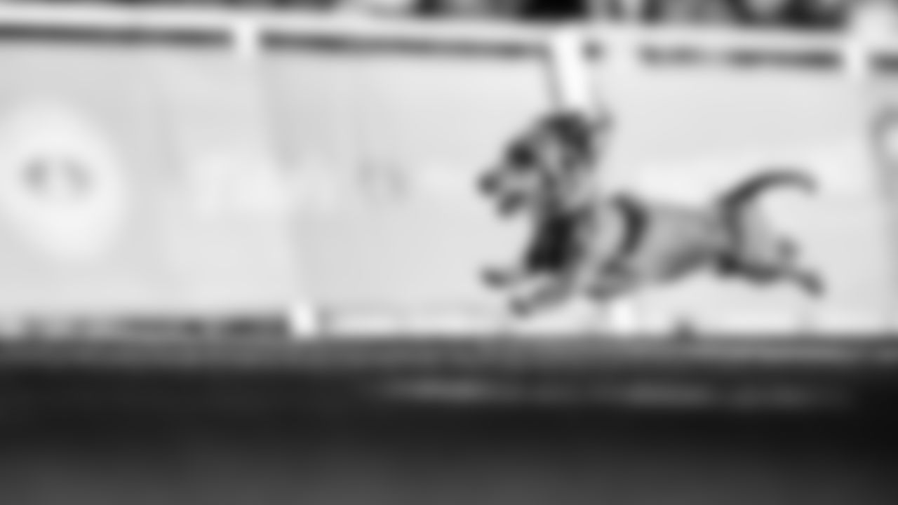 Dachshund Dash during the game between the Tennessee Titans and the Jacksonville Jaguars at Nissan Stadium on November 30, 2025 in Nashville, TN. Photo By Donald Page/Tennessee Titans