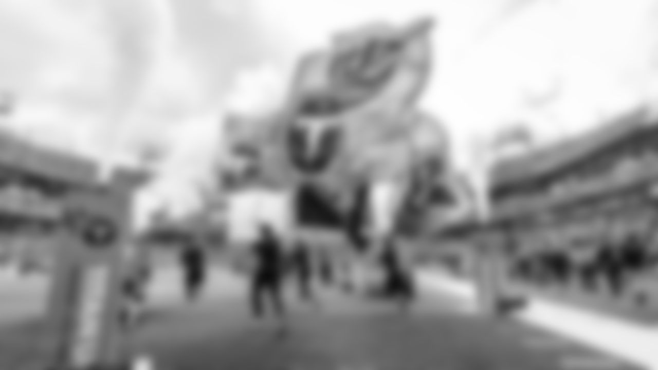 Tennessee Titans logo flags during the game between the Tennessee Titans and the New England Patriots at Nissan Stadium on October 19, 2025 in Nashville, TN. Photo By Tennessee Titans