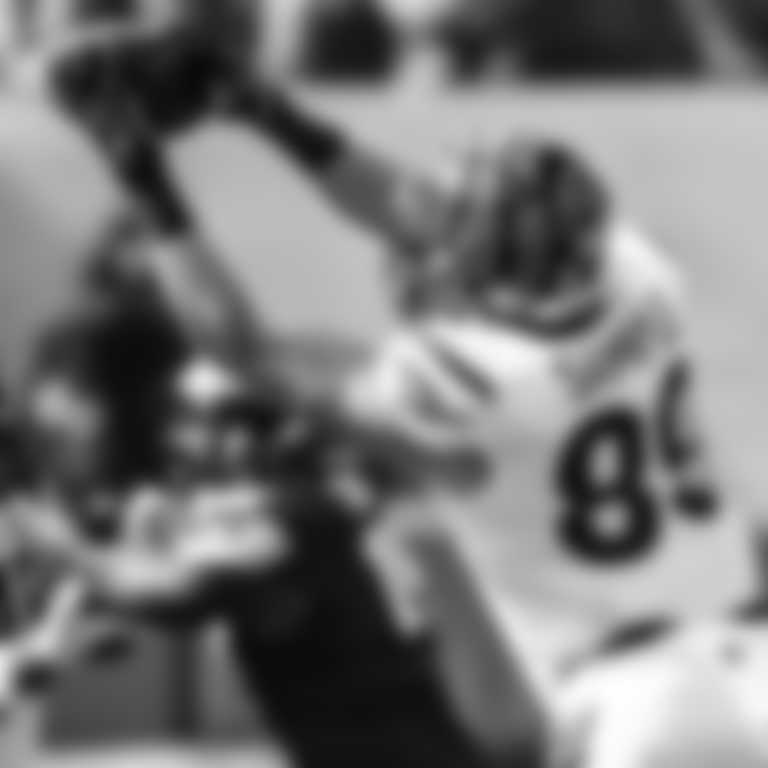 DrewSample_PlayerBio