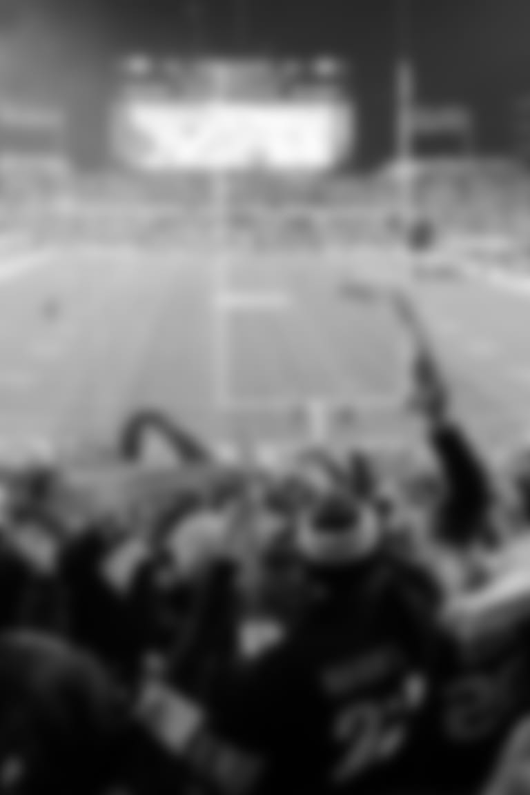 Terrible_Towel_50_2025_Parallax_Renegade