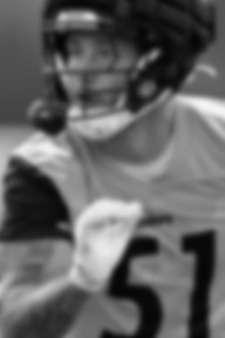 Parallax_Kickoff_2024_Herbig_Nick
