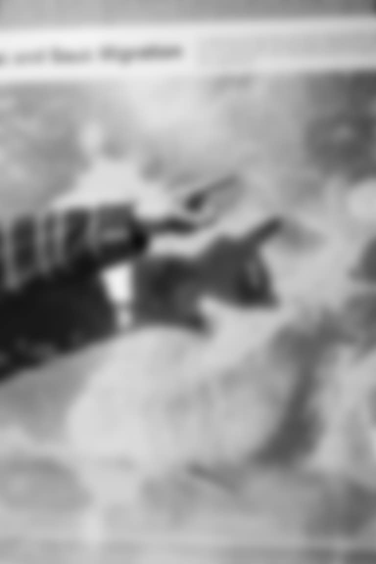 Article Centerpiece With Logos_0013s_0001__BB17602.JPG