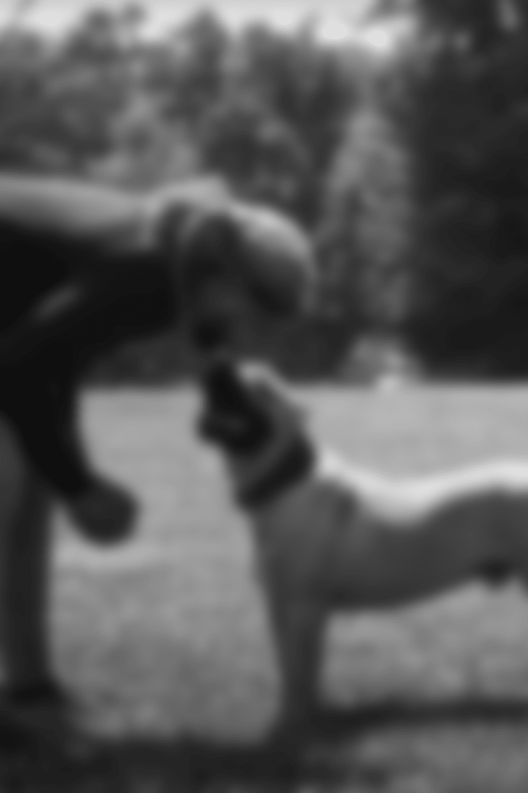 122823-Chase-Young-Dog