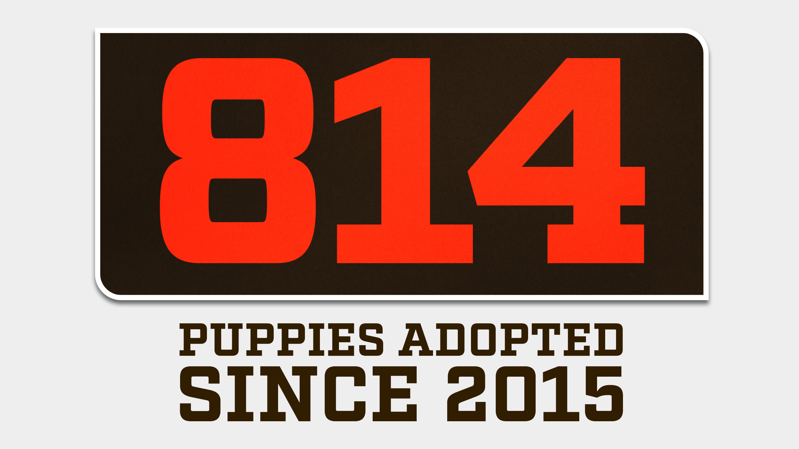 26_TC_Web_PuppyPoundStat