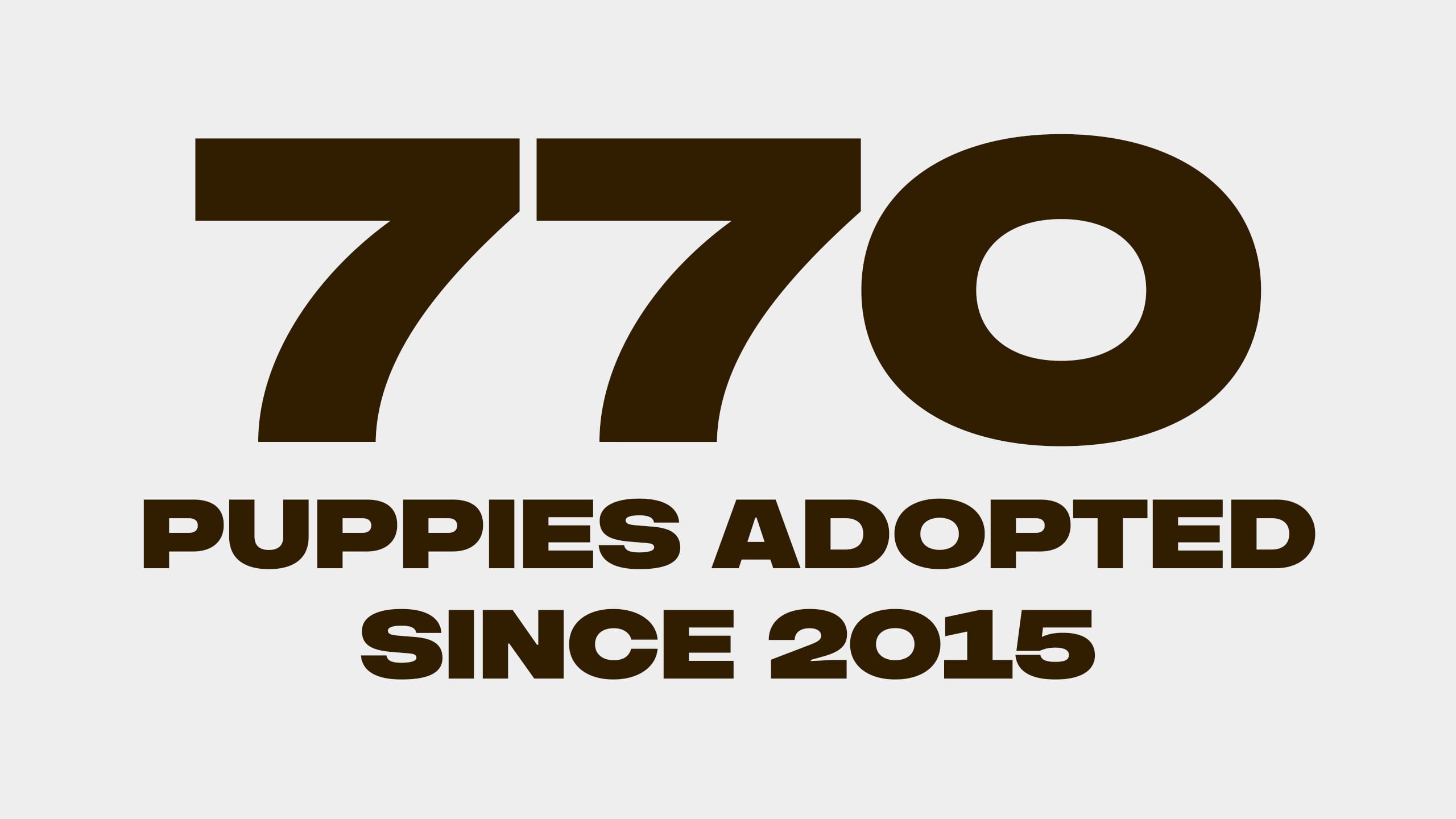 25_TRAININGCAMP_WEB_PUPPIES_ADOPTED_770