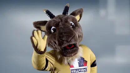 image: GOLDY the Goat