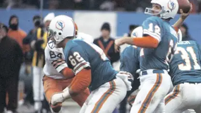 image: Dolphins in the Hall of Fame