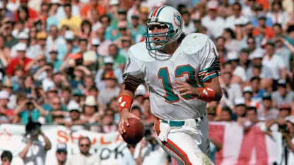 image: News Dan Marino eclipsed long-standing TD record 40 years ago Thumbnail