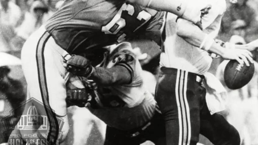 image: Gallery Lee Roy Selmon, Class of 1995 - image: 