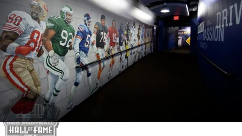 image: Gallery Pro Football Hall of Fame Photo Tour - image: 