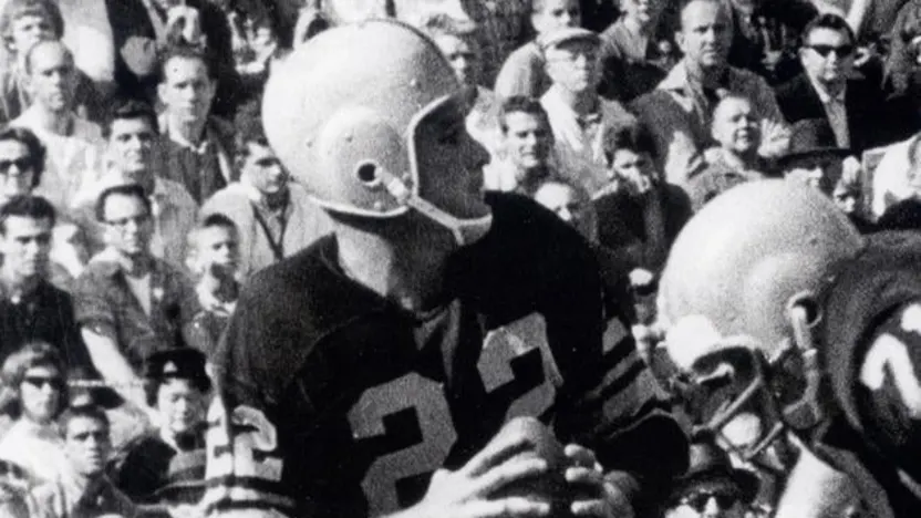 image: Gallery Steelers in the Hall of Fame - image: 